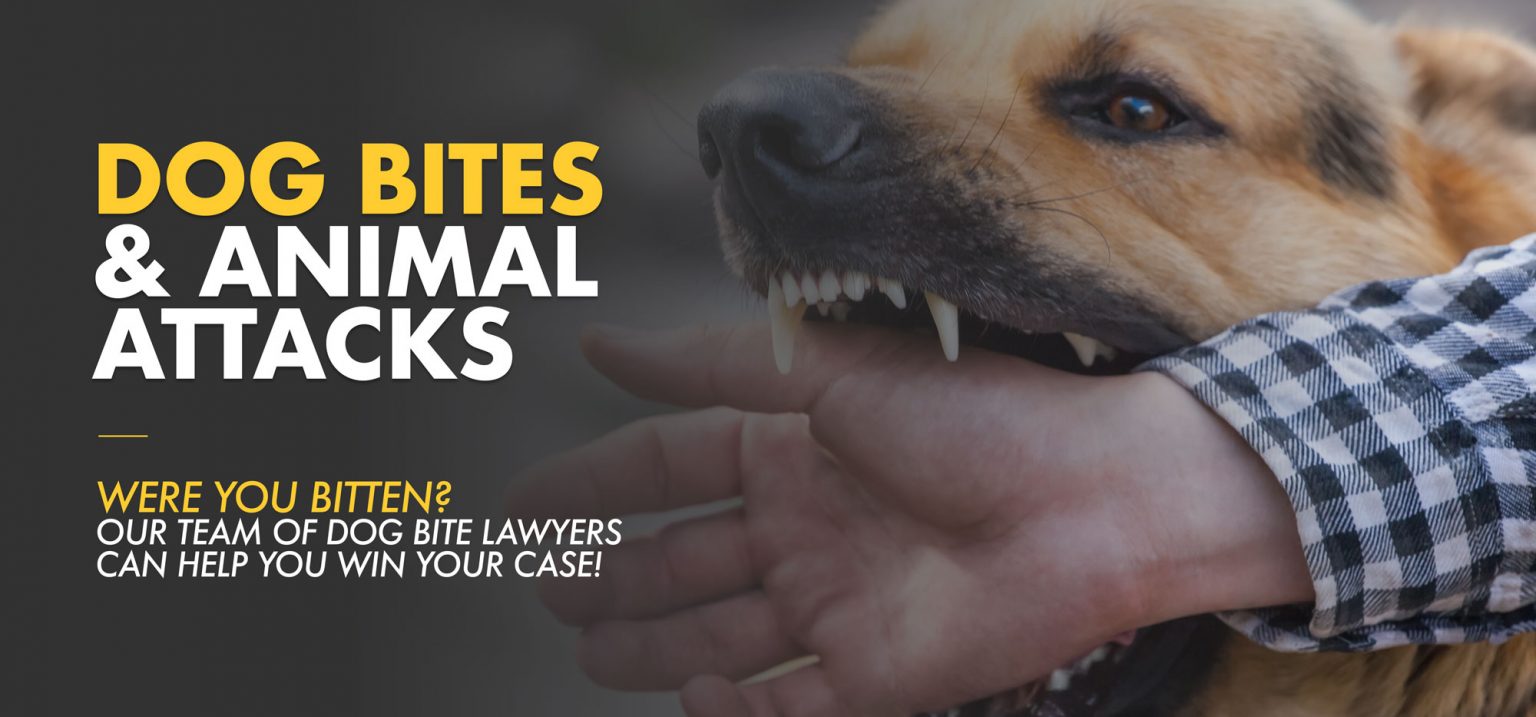 Myrtle Beach Dog Bite Injury Attorneys | Law Office of William J. Luse